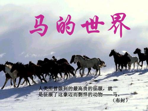 人教版七年级下册综合性学习《马的世界》ppt课件(78页)