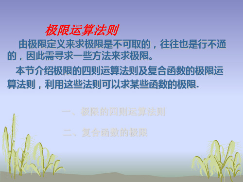 高数极限运算法则