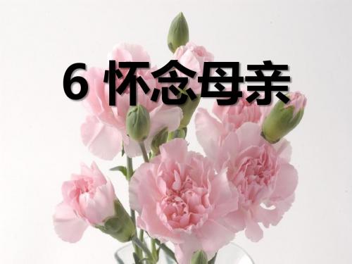 《怀念母亲》PPT课件下载5 (共14张PPT)