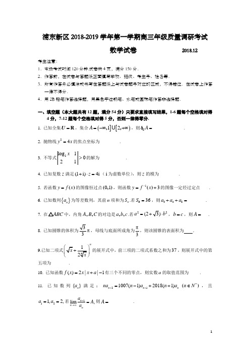 上海市浦东新区2019年高三第一学期期末(一模)学科质量检测数学试题及答案(word版)