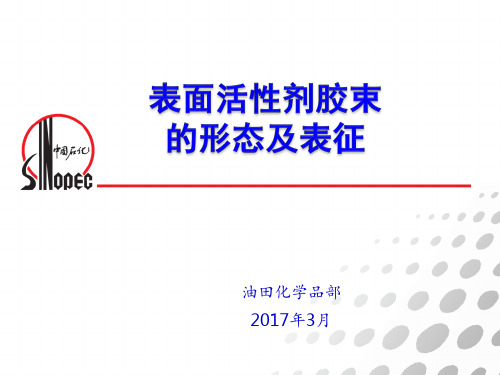 表活剂胶束的形态及表征