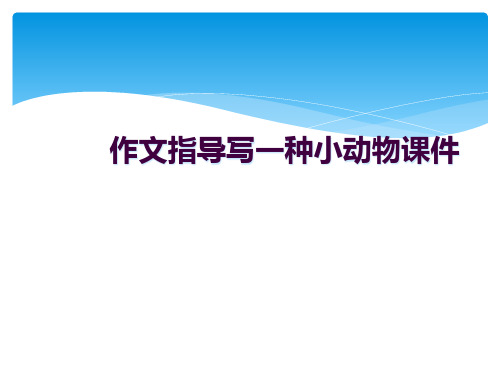 作文指导写一种小动物课件