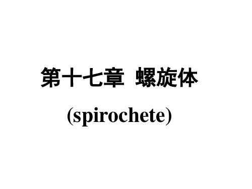 回归热疏螺旋体