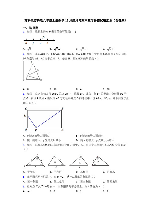 苏科版苏科版八年级上册数学12月底月考期末复习易错试题汇总(含答案)