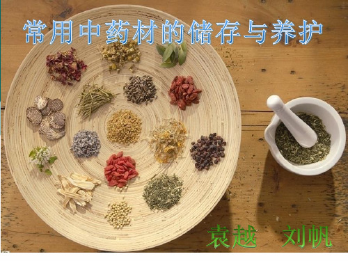 中药材储存与养护