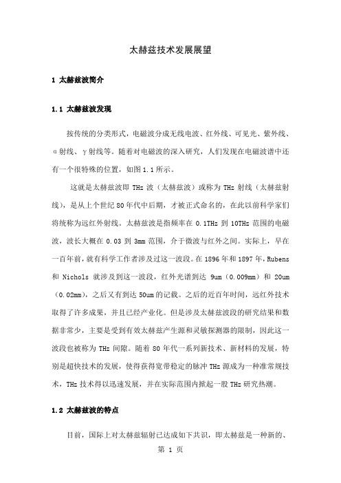 太赫兹技术发展展望-14页文档资料
