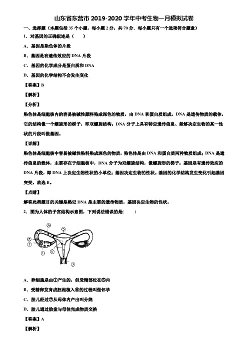 山东省东营市2019-2020学年中考生物一月模拟试卷含解析