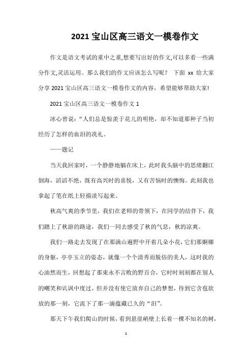 2021宝山区高三语文一模卷作文