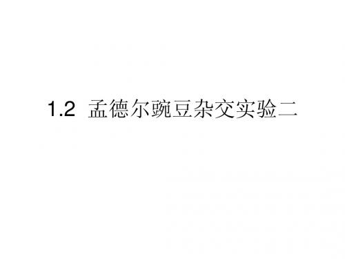 2.1.2  孟德尔的豌豆杂交实验(二)