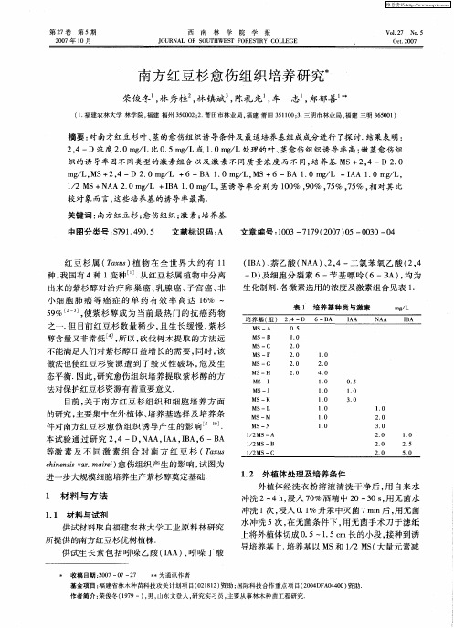南方红豆杉愈伤组织培养研究