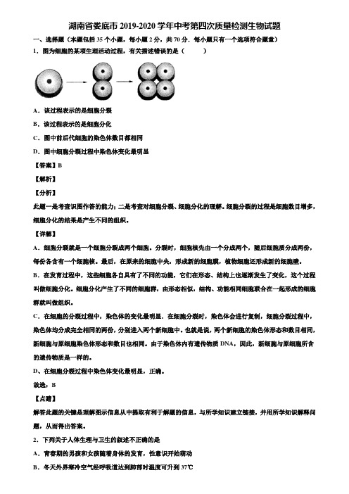 湖南省娄底市2019-2020学年中考第四次质量检测生物试题含解析