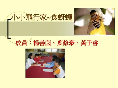 小小飞行家~食蚜蝇