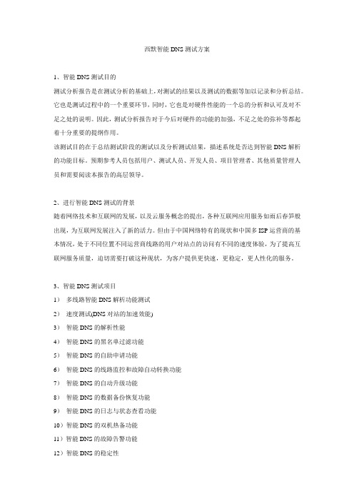西默智能DNS测试方案
