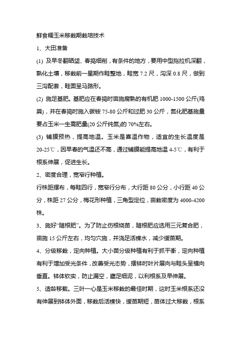 鲜食糯玉米移栽期栽培技术