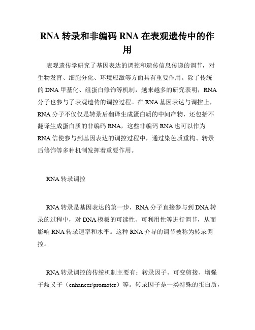 RNA转录和非编码RNA在表观遗传中的作用