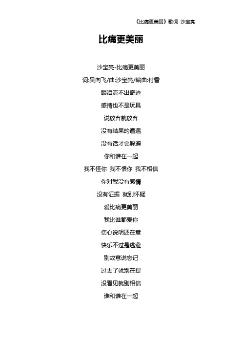 《比痛更美丽》歌词 沙宝亮