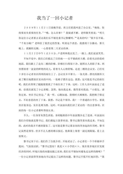 我当了一回小记者