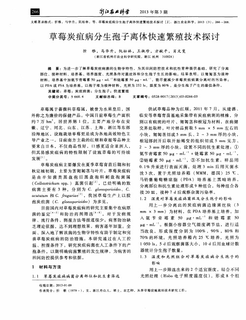 草莓炭疽病分生孢子离体快速繁殖技术探讨