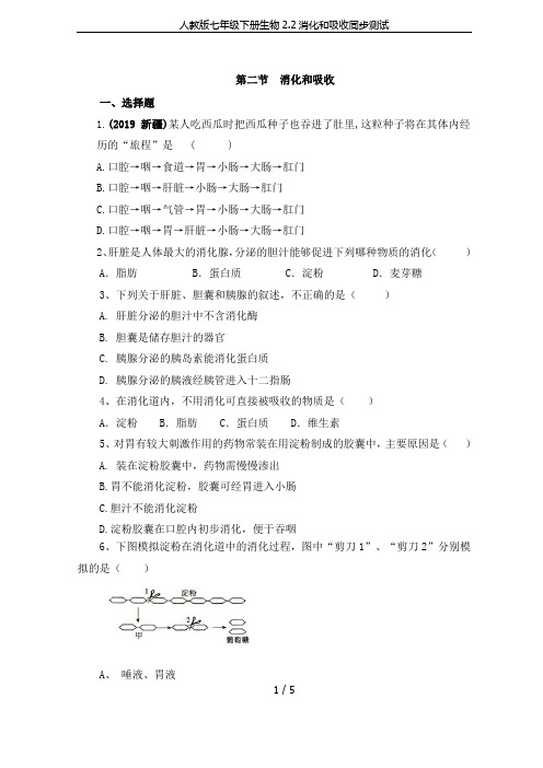 人教版七年级下册生物2.2消化和吸收同步测试