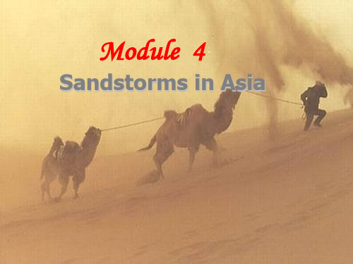 高中英语 Module4 Sandstorms in Asia Reading and Vocabulary课件 外研社必修3