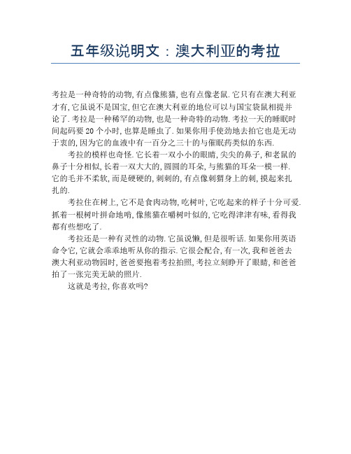 五年级说明文：澳大利亚的考拉