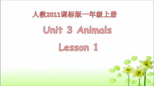 人教新起点版一年级上册英语Unit 3 Animals-Lesson 1精品课件