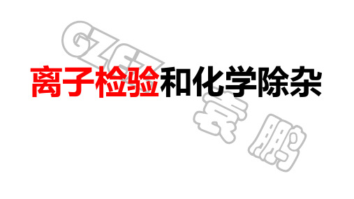 1.2化学实验基本方法-氯离子硫酸根检验+化学除杂-