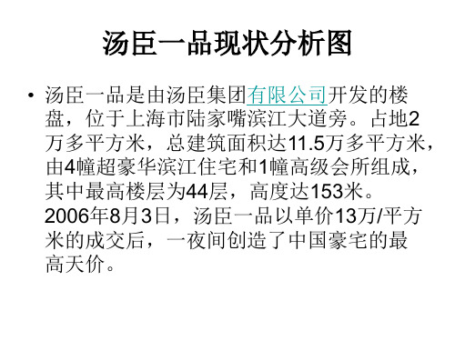 汤臣一品现状分析分析