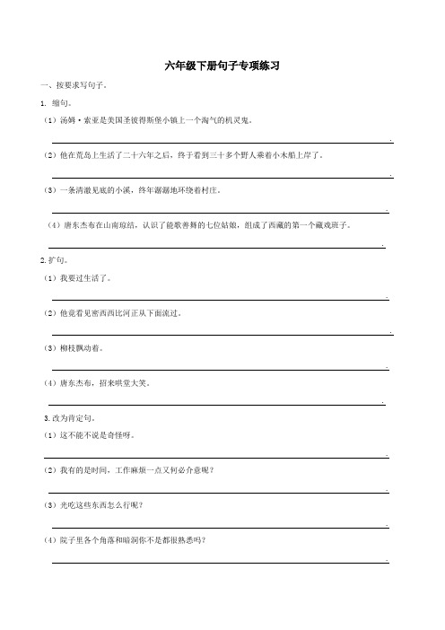 人教部编版六年级语文下册句子专项总复习