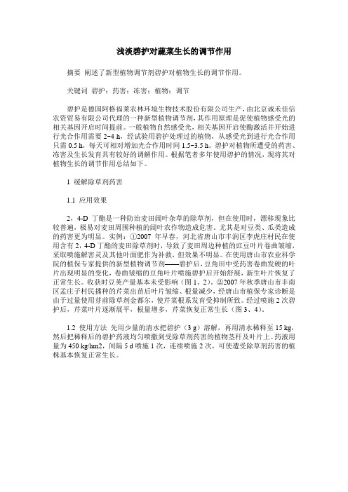 浅淡碧护对蔬菜生长的调节作用