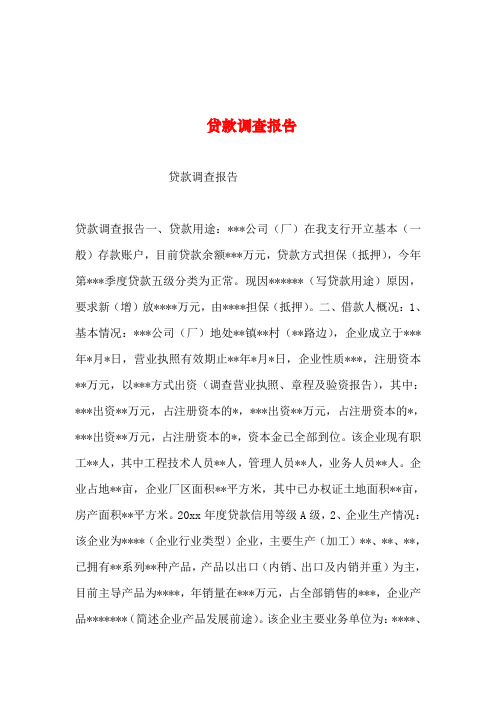 2019年整理--贷款调查报告