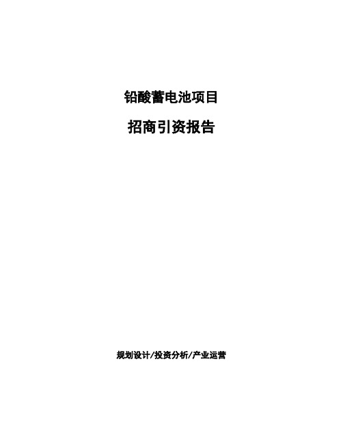 铅酸蓄电池项目招商引资报告