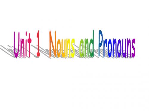 高三英语语法重新回忆复习(名词代词)Unit 1 Nouns and Pronouns