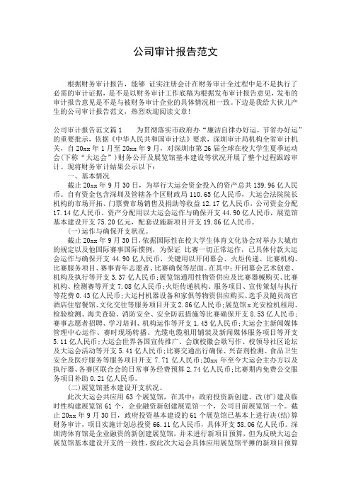 公司审计报告范文