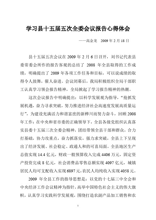 学习县十五届五次全委会议报告心得体会