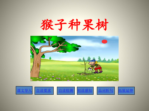 《猴子种果树》ppt演示课件