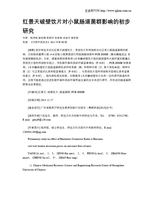 红景天破壁饮片对小鼠肠道菌群影响的初步研究