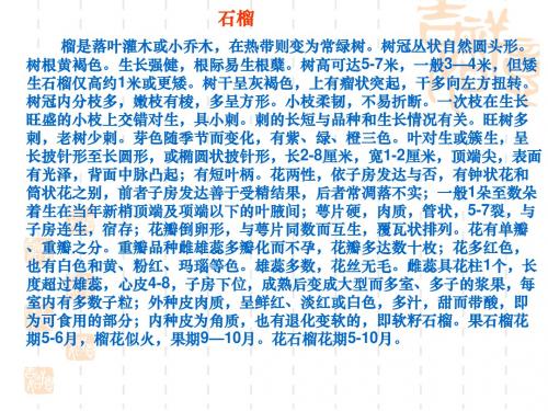 说明文基础知识