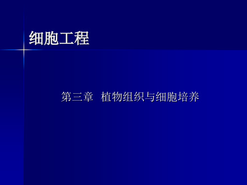 第3章 植物组织与细胞培养