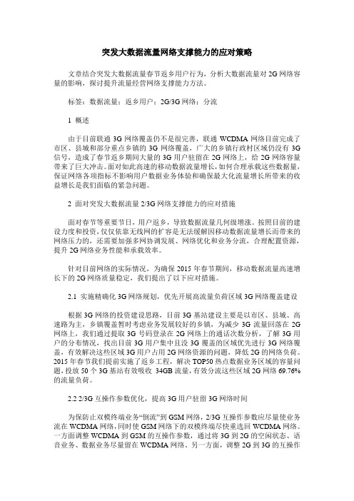 突发大数据流量网络支撑能力的应对策略