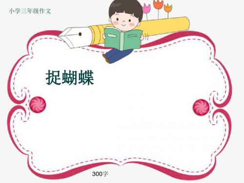小学三年级作文《捉蝴蝶》300字(共8页PPT)
