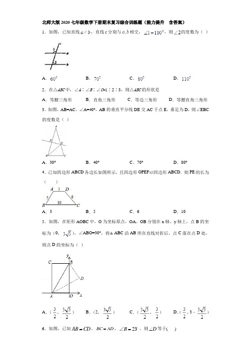 北师大版2020七年级数学下册期末复习综合训练题(能力提升  含答案)