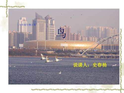 新人教版八年级生物上册-第六节-鸟1