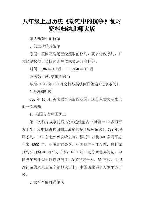 八年级上册历史《劫难中的抗争》复习资料归纳北师大版
