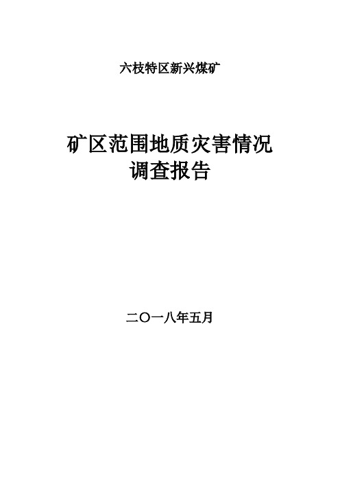 地质灾害情况调查报告2