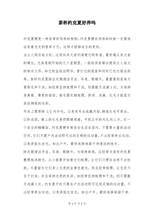 茶杯约克夏好养吗