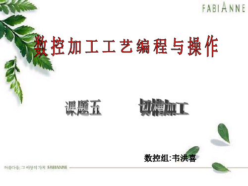 数控_车床_编程_G75_课题五__切槽加工