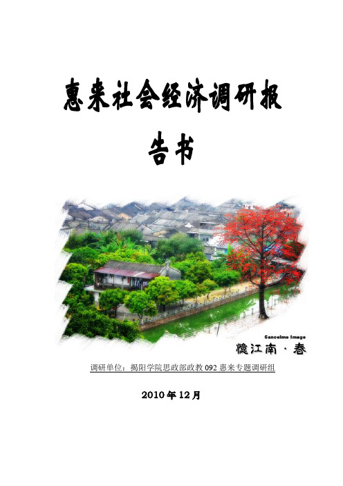 惠来经济调研报告