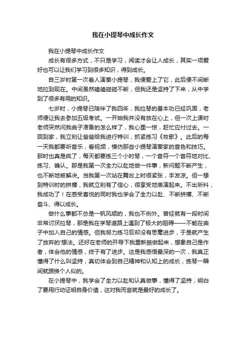 我在小提琴中成长作文