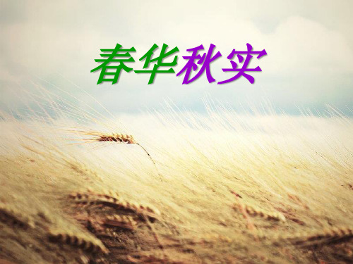 五年级上册美术课件-第13课  春华秋实丨赣美版 